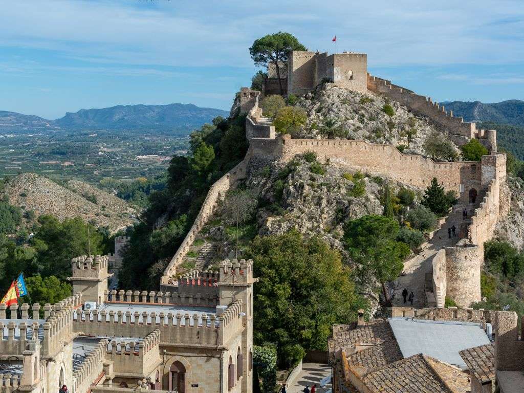 xr:d:DAF-MnLbsm0:74,j:2204936985316273757,t:24041517