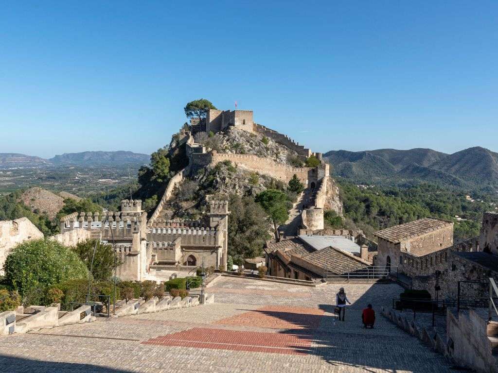 xr:d:DAF-MnLbsm0:74,j:2204936985316273757,t:24041517