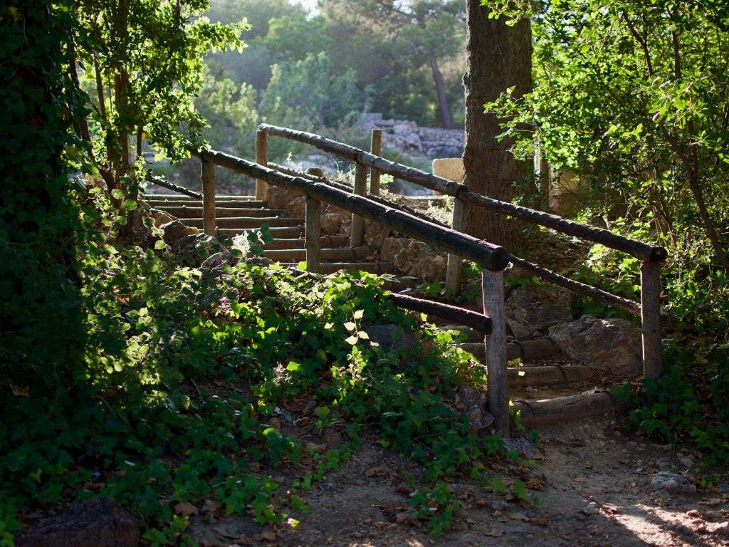 xr:d:DAF-MnLbsm0:74,j:2204936985316273757,t:24041517