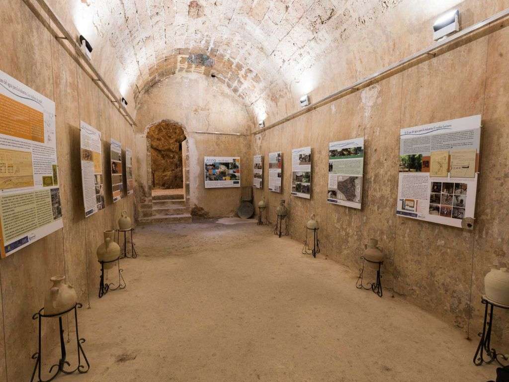 xr:d:DAF-MnLbsm0:74,j:2204936985316273757,t:24041517