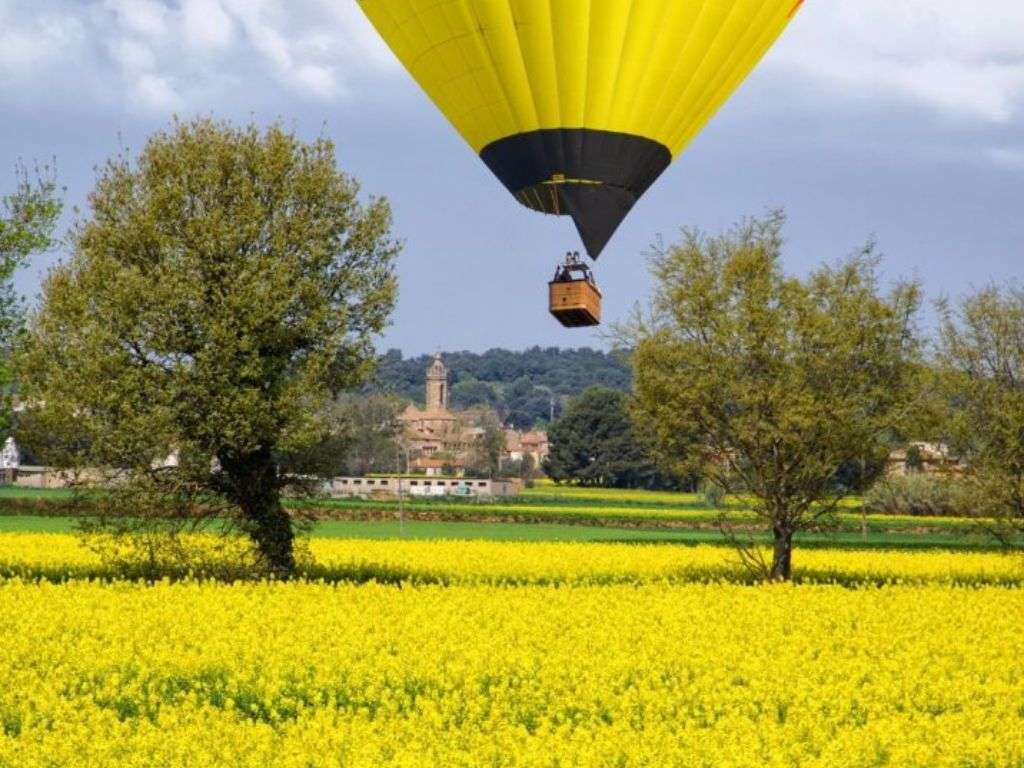 远处有一个热气球即将降落在开满黄色花朵的草地上。.