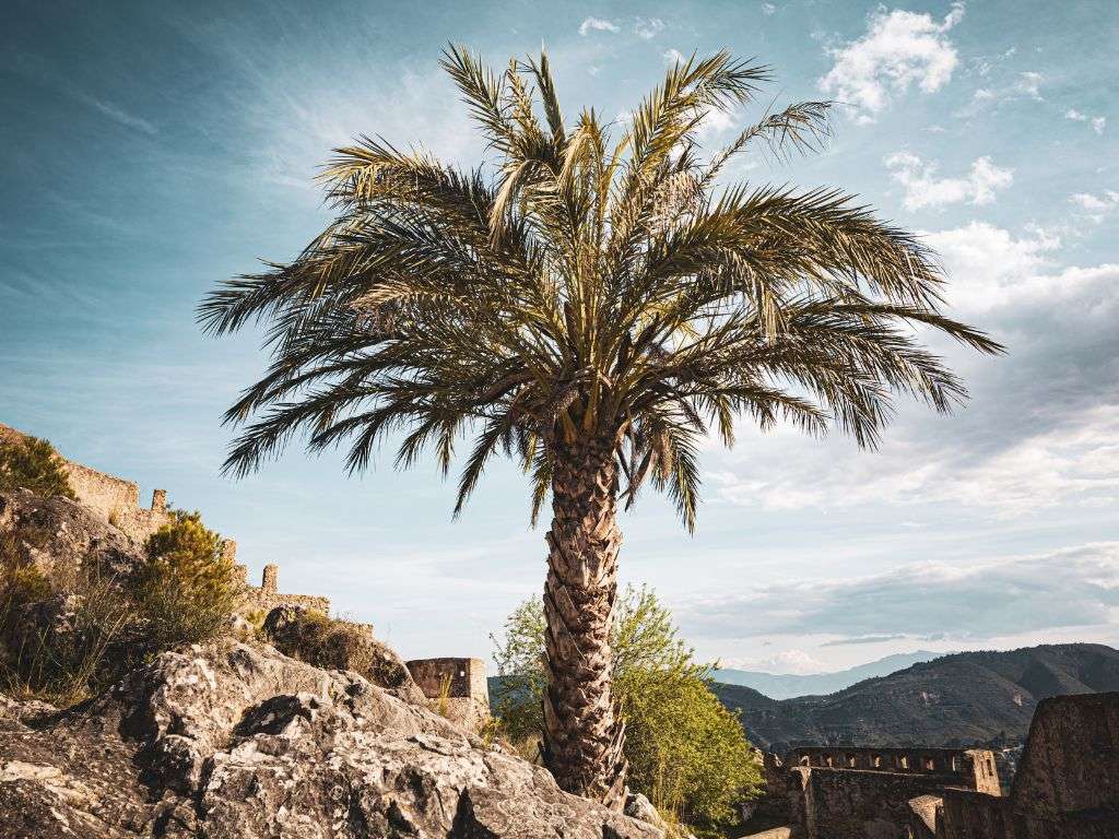 xr:d:DAF-MnLbsm0:74,j:2204936985316273757,t:24041517