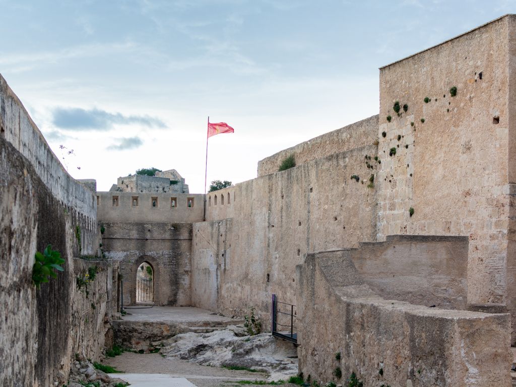 xr:d:DAF-MnLbsm0:74,j:2204936985316273757,t:24041517