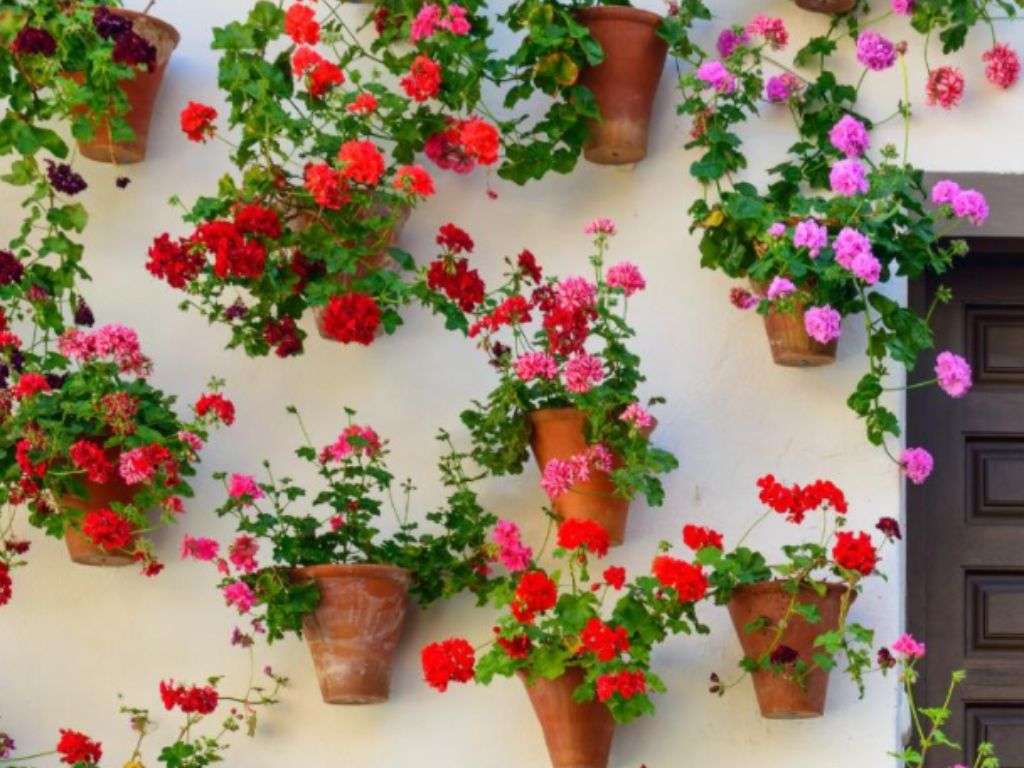 Foto de la fachada de una casa decorada con flores rojas, rosas, lilas...etc..