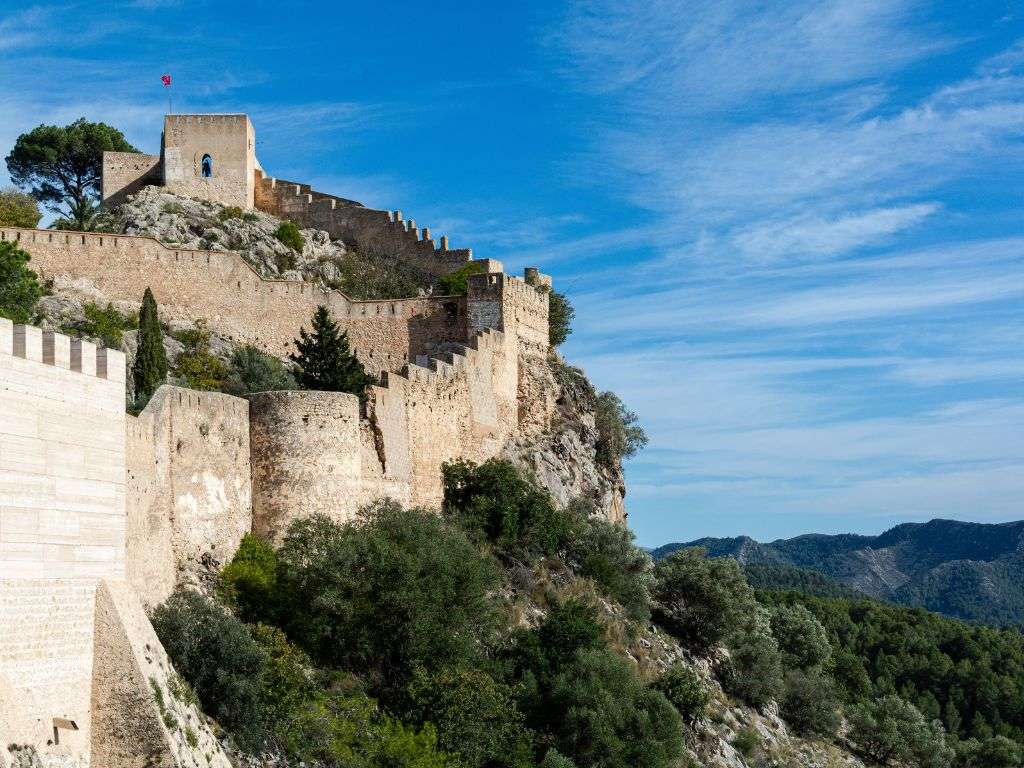 xr:d:DAF-MnLbsm0:74,j:2204936985316273757,t:24041517