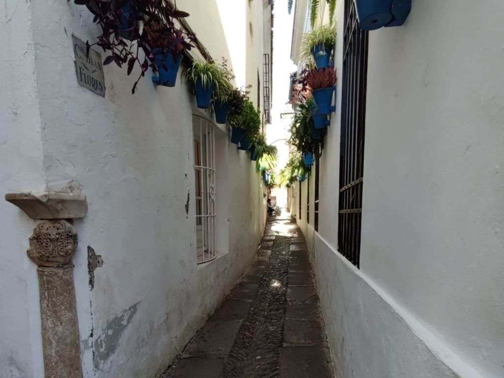 Foto de un callejón en Córdoba donde se ven las paredes blancas y azules.