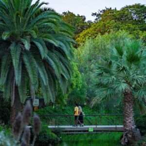 Dos personas caminan por un puente situado en el parque de la ciutadella, mientras disfrutan del paisaje verdoso.