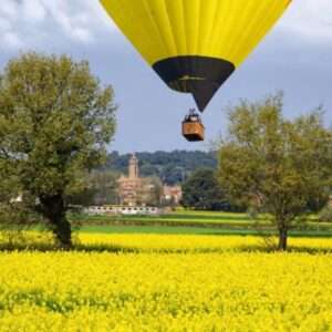 Un globo aerostático se muestra en la lejanía a punto de aterrizar en un prado de flores amarillas.